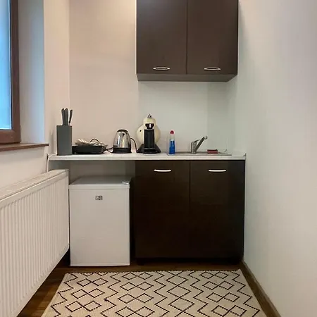 Appartement Savoya5 Old Citycenter Selfcheckin Workspacestudio Timişoara