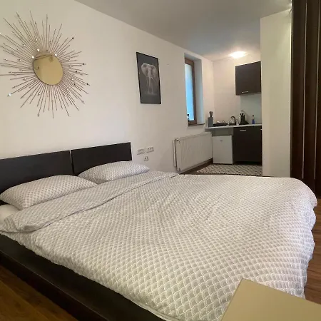 Savoya5 Old Citycenter Selfcheckin Workspacestudio * Timişoara