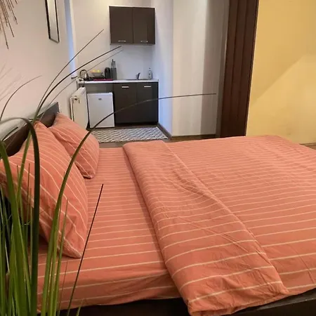 Savoya5 Old Citycenter Selfcheckin Workspacestudio Appartement Timişoara