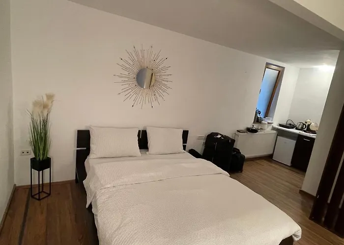 דירה Savoya5 Old Citycenter Selfcheckin Workspacestudio טימישוארה