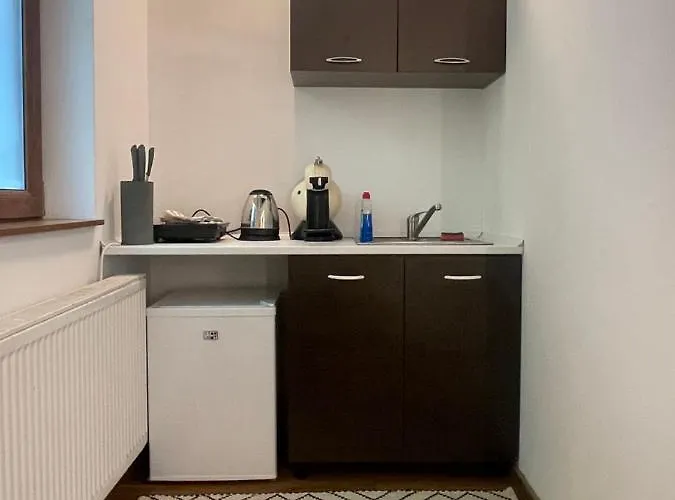 דירה Savoya5 Old Citycenter Selfcheckin Workspacestudio טימישוארה