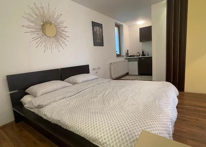 Savoya5 Old Citycenter Selfcheckin Workspacestudio * טימישוארה