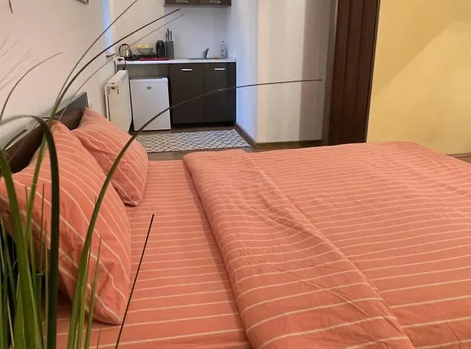 Savoya5 Old Citycenter Selfcheckin Workspacestudio דירה טימישוארה